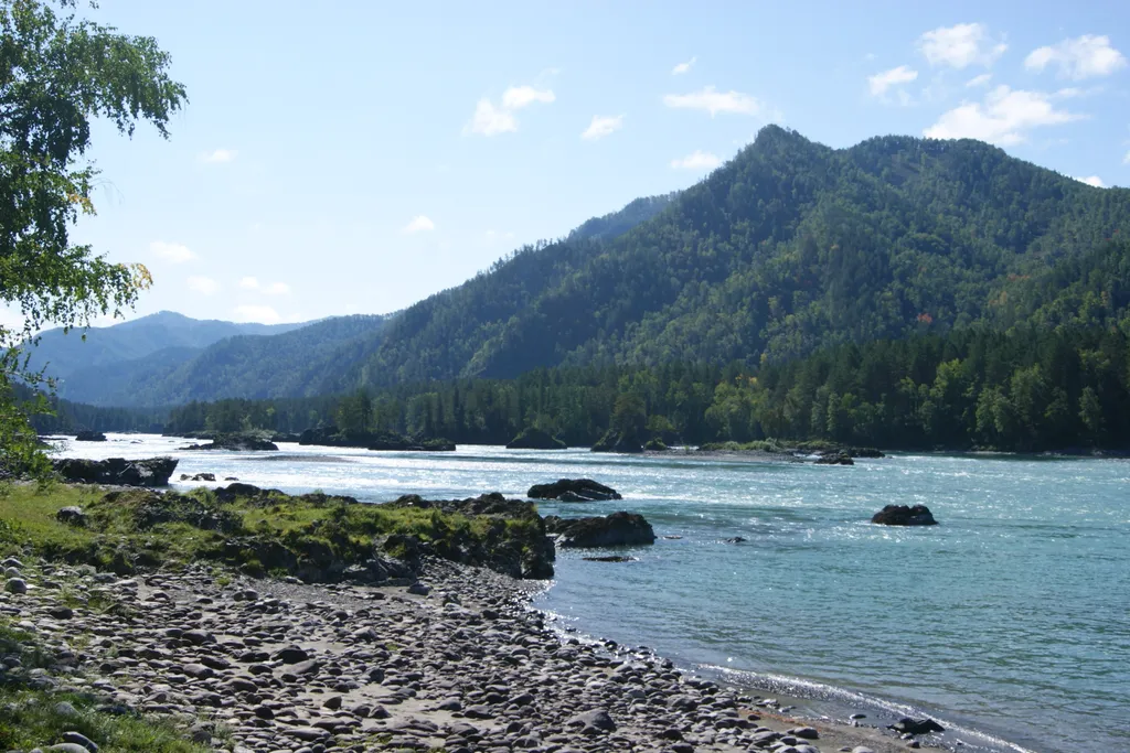 Дом на берегу Катуни - Алтай Дзен