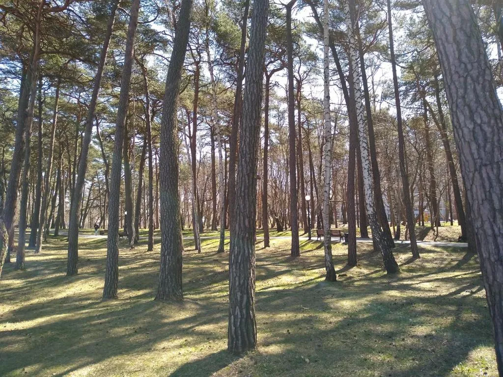 Квартира на берегу моря