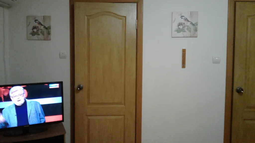 Уютная однокомнатная квартира с зеленым двором