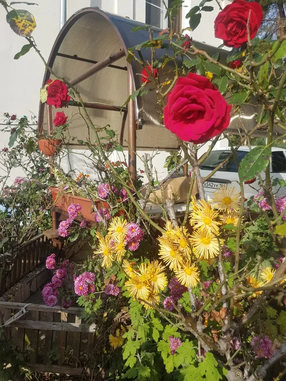 Жемчужина у моря