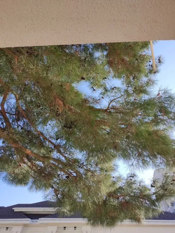 Квартира Тихая квартира в классическом стиле — Геленджик