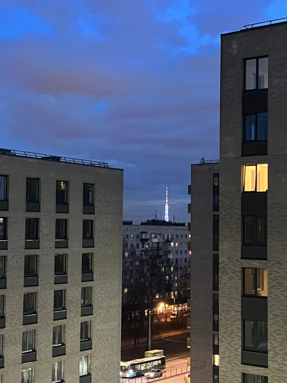 Шикарные апартаменты у парка Сосновка