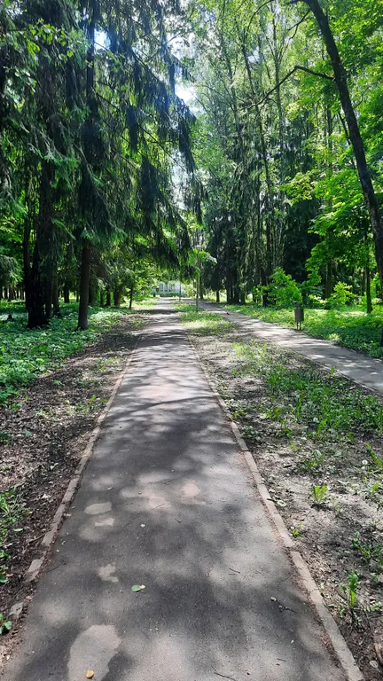 Квартира-студия гостиничного типа