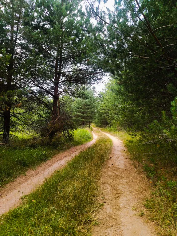 Уютный дом у озера