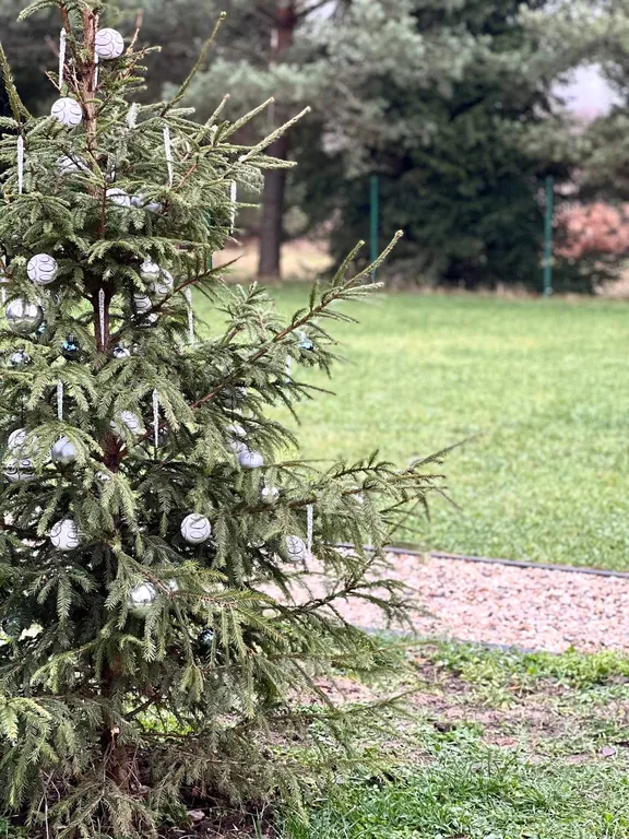 Дом Айвазовский с баней и мангальной зоной