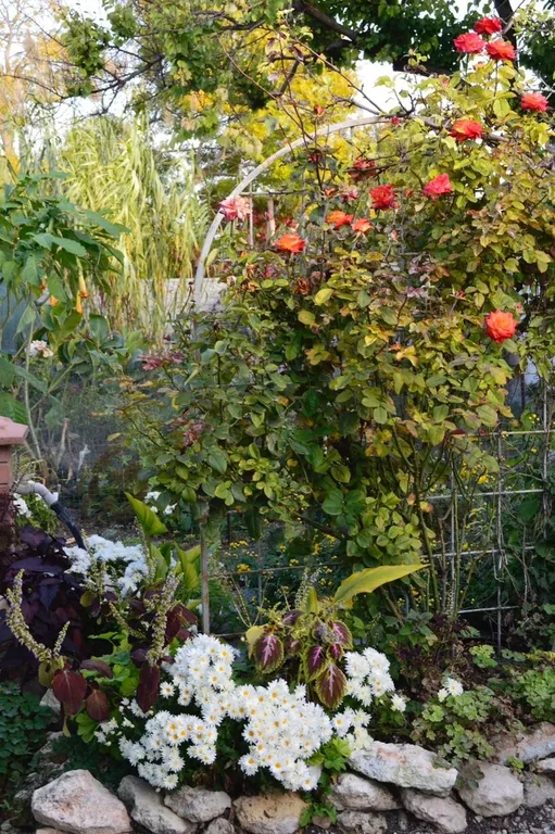 Цветочный дворик