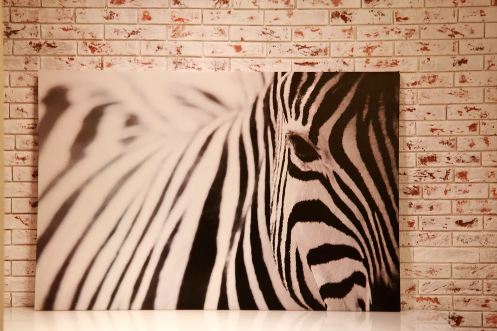 Квартира Квартира Apartment July Zebra — Казань