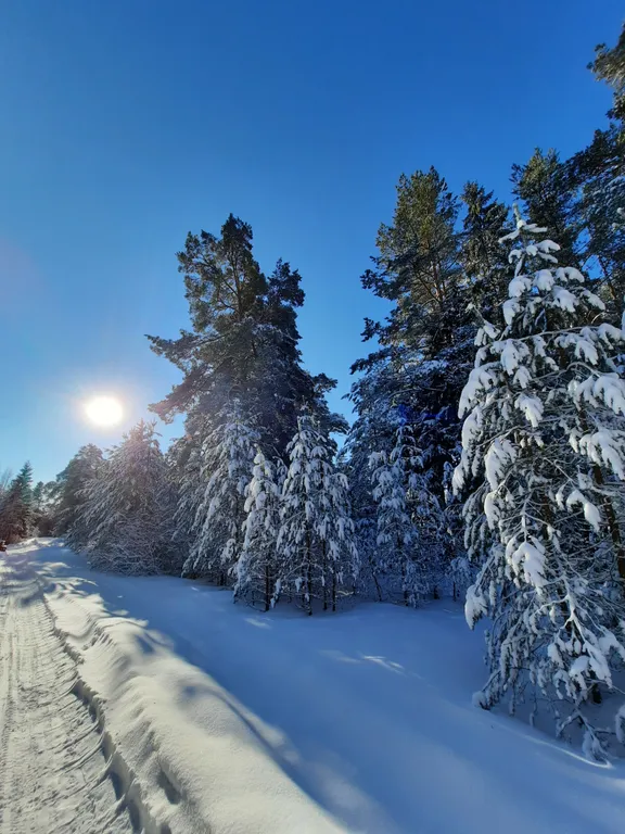Коттедж Незабываемый отдых в доме с видом на реку и лес — Нурмойла