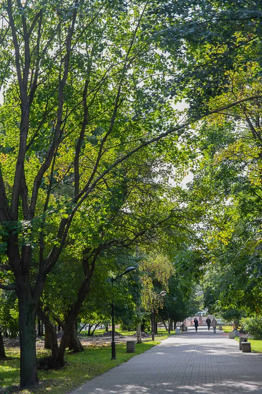 Квартира Уютная квартира у Бульвара Победы — Петрозаводск