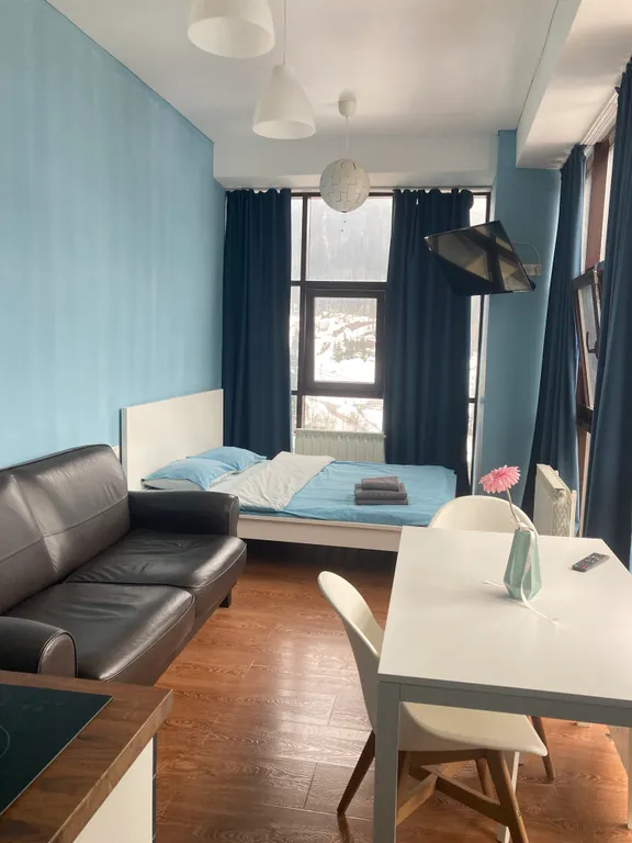 Квартира Современная чистая студия с панорамными окнами на горы — аренда посуточно в Домбай