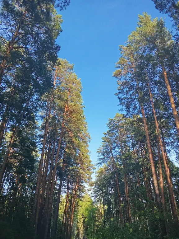 Квартира Увильды