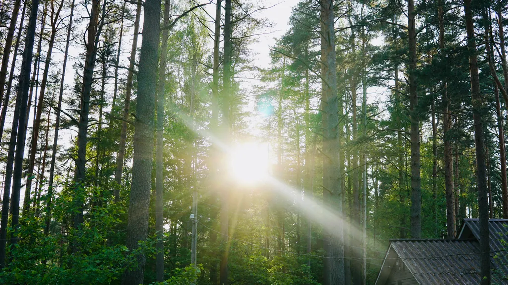 Прекрасный дом для отдыха в Комарово