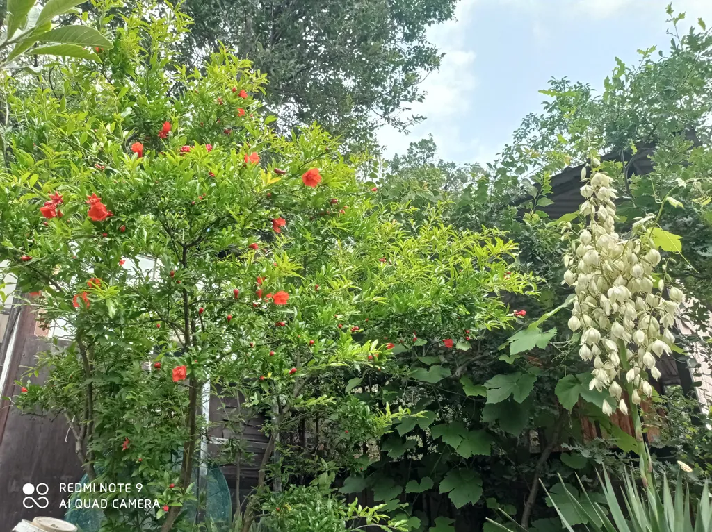 Аппартамент с зелёной зоной отдыха