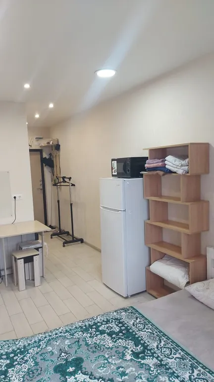 Квартира 1-комнатная Квартира — Сириус