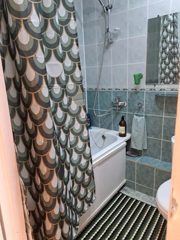 Уютная однокомнатная квартира в Зелёной роще