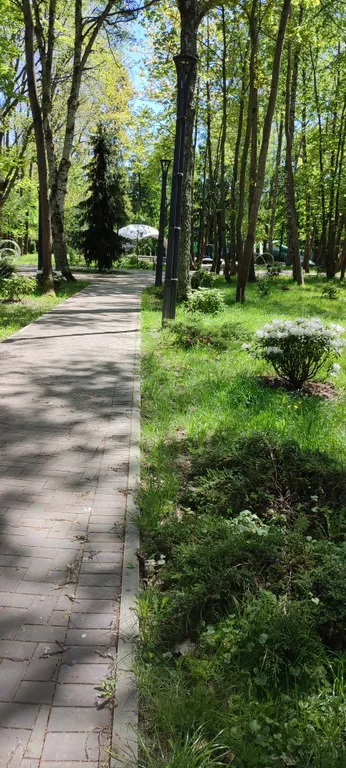 Квартира Квартира В гости к Эмме — Светлогорск