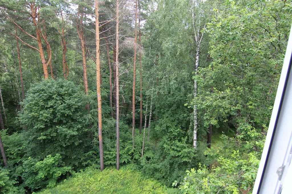 1-комнатная квартира Стандарт