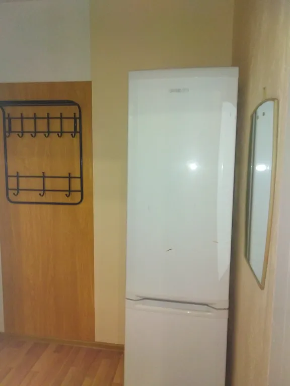 Уютная однокомнатная квартира в центре