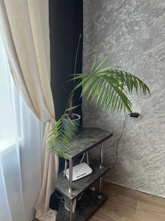 Уютная квартира ждет своих гостей