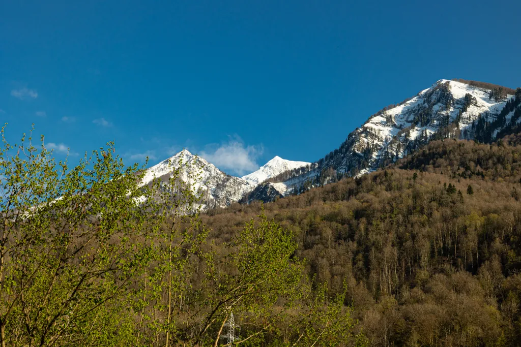 Квартира в стиле шале
