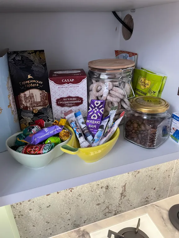 2-комнатная квартира Mint Lux в историческом центре