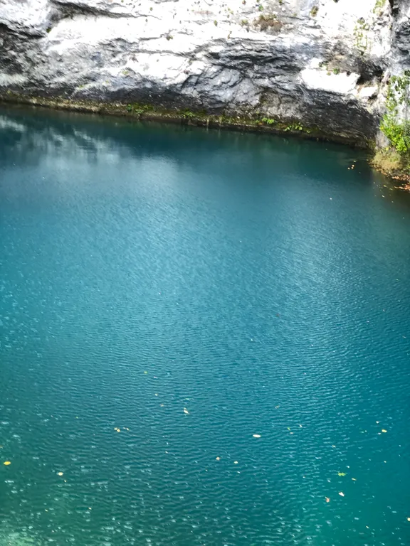 Квартира Уютная квартира с видом в парк — Сириус