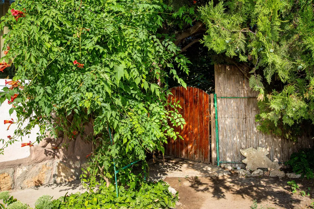 Семейные апартаменты с отдельным уютным двориком