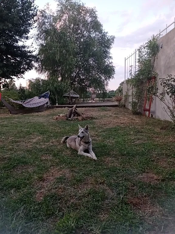 Коттедж Дача на берегу реки в стиле Старый замок — Козет