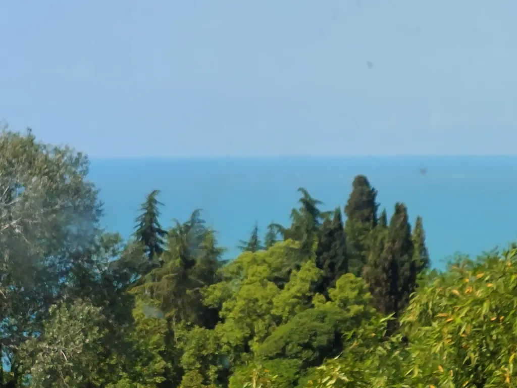 Дом в бамбуках в 500 метрах от моря