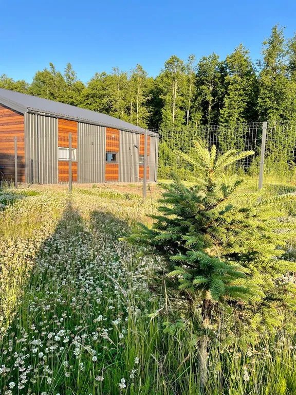 Коттедж Милый домик у Леса — Санкт-Петербург