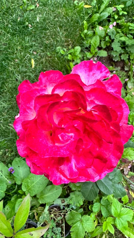 Коттедж Коттедж Курортное шале в писательском Переделкино — Москва