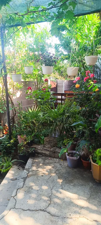 Коттедж 3-комнатный Дом — Судак