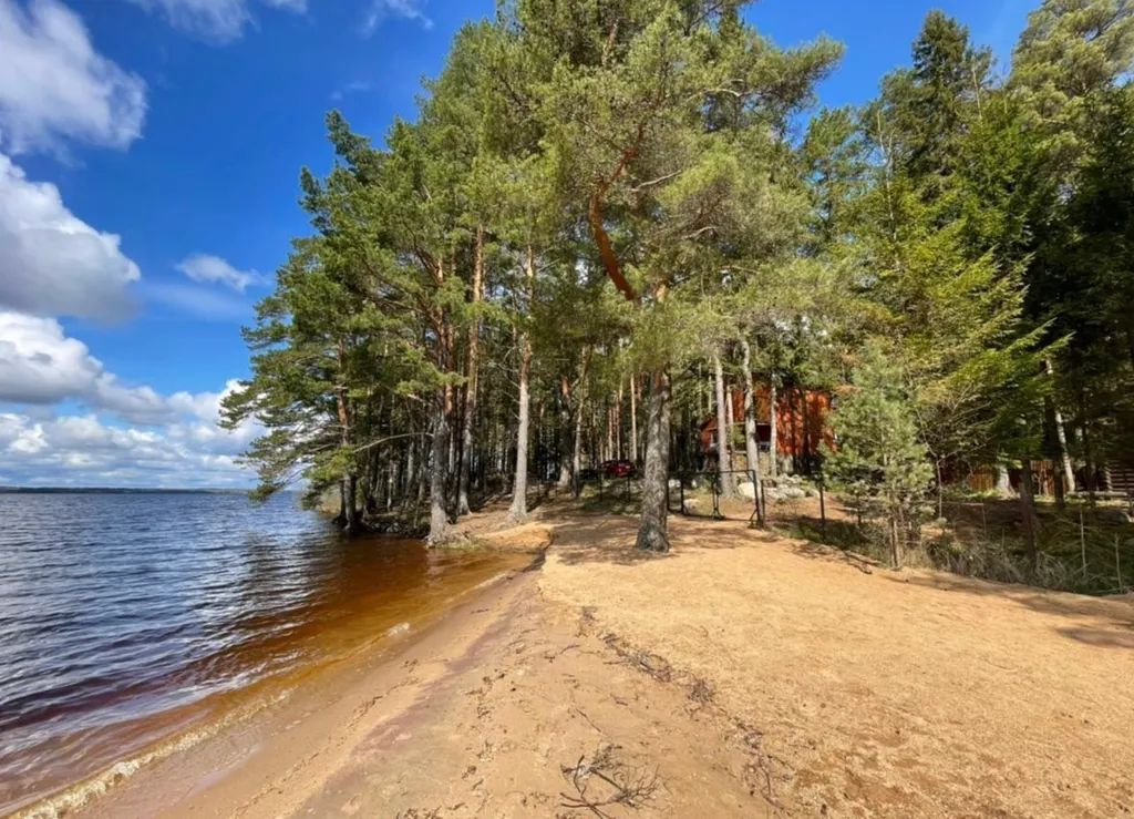 Коттедж Дом на первой линии озера Волго — Турбаза Чайка