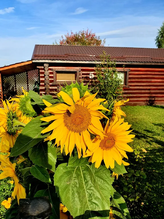 Коттедж с 1-й спальней, камин + сауна
