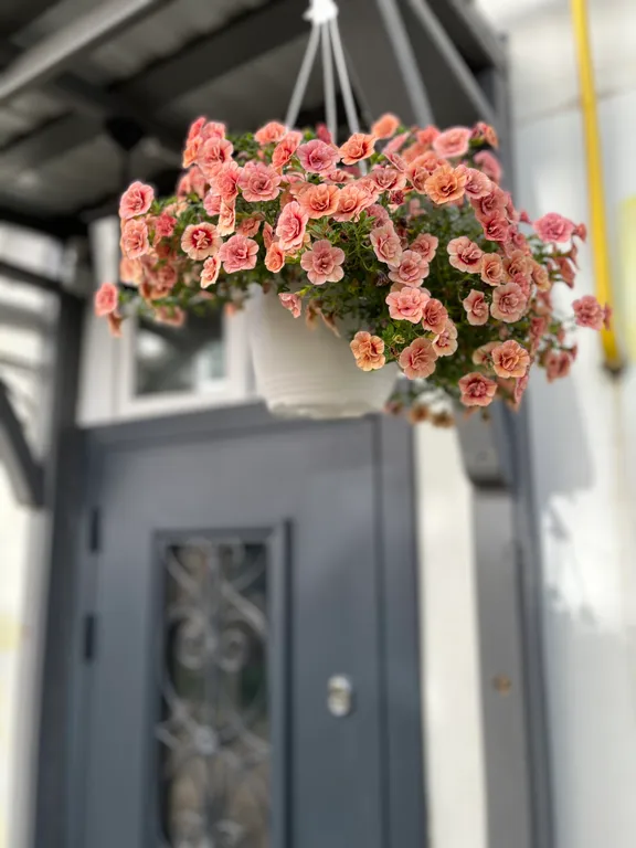 2-комнатная квартира с авторским ремонтом в историческом центре города