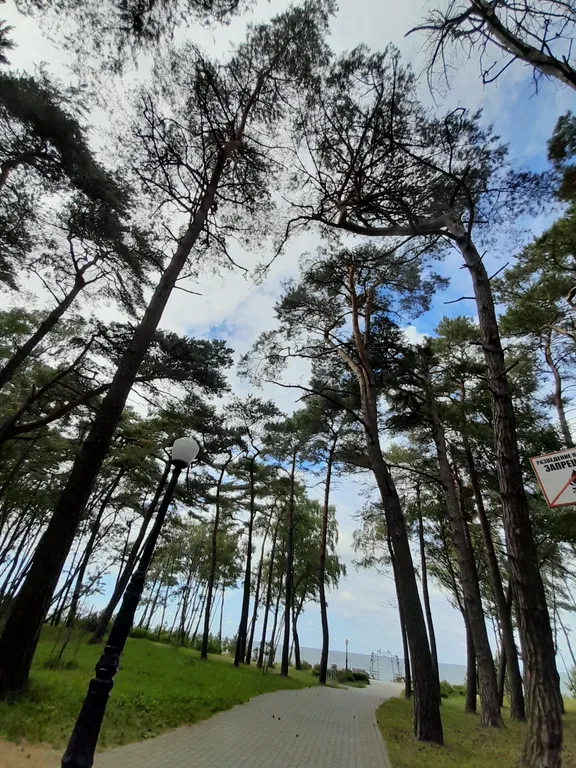 Квартира Уютная квартира в курортном городе — Пионерский