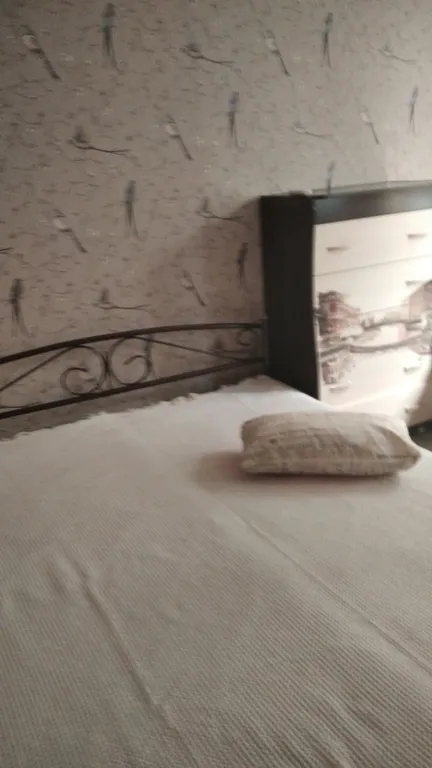 Уютный номер с двориком-беседкой