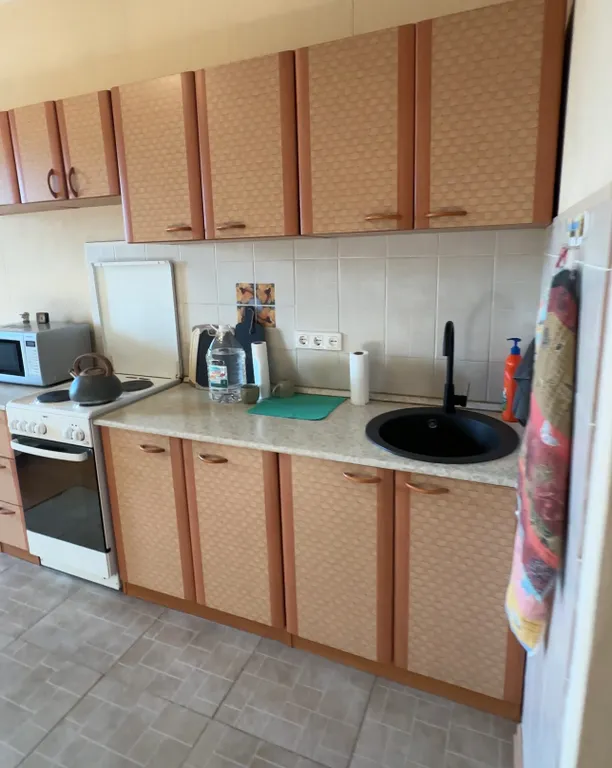 Большая однокомнатная квартира у парка