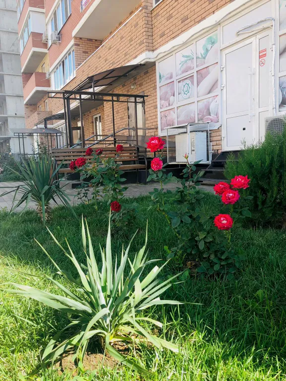 Квартира Апартаменты Golden Sun — Краснодар