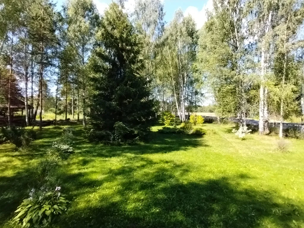 Дом на большом лесном участке