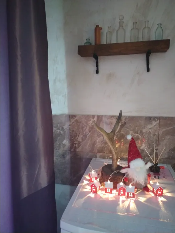 Уникальная Loft квартира в центре с экспонатами 19-20 века