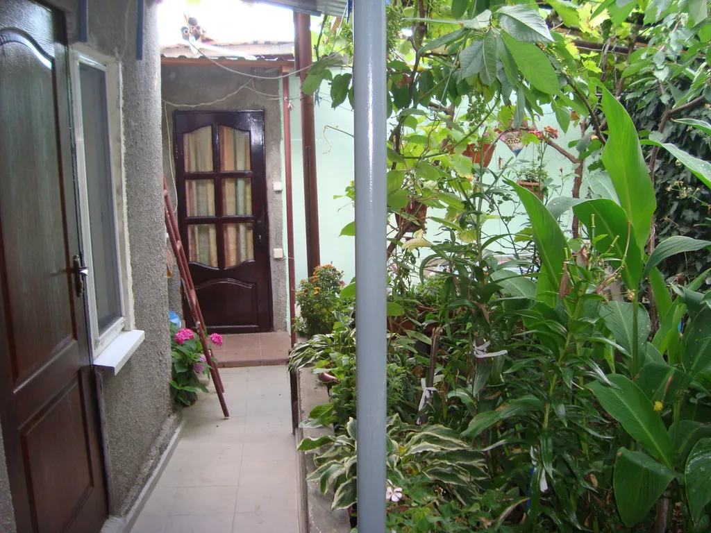 Аисты с видом на море