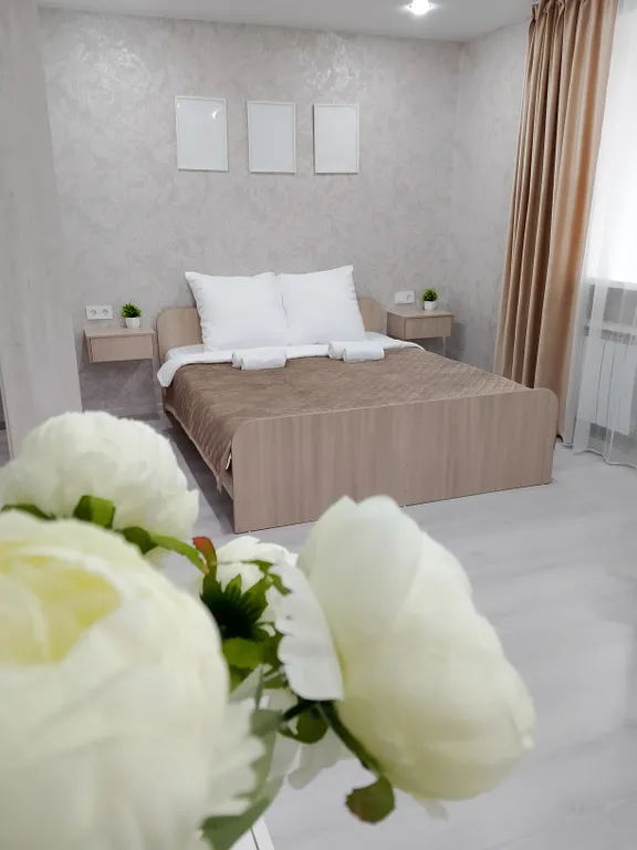 Уютная квартира у Микрохирургии глаза — аренда посуточно в Иркутск