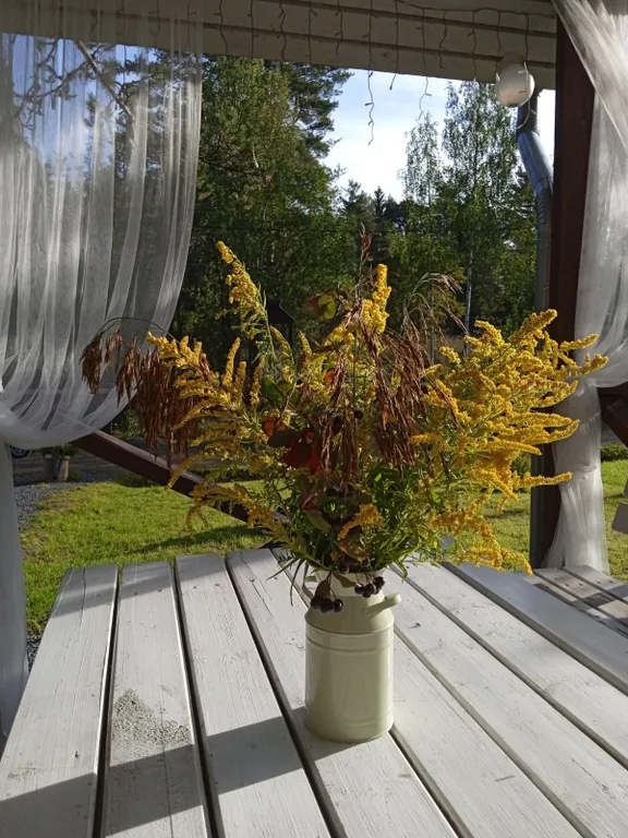 Хутор Медовое на Ладожском озере