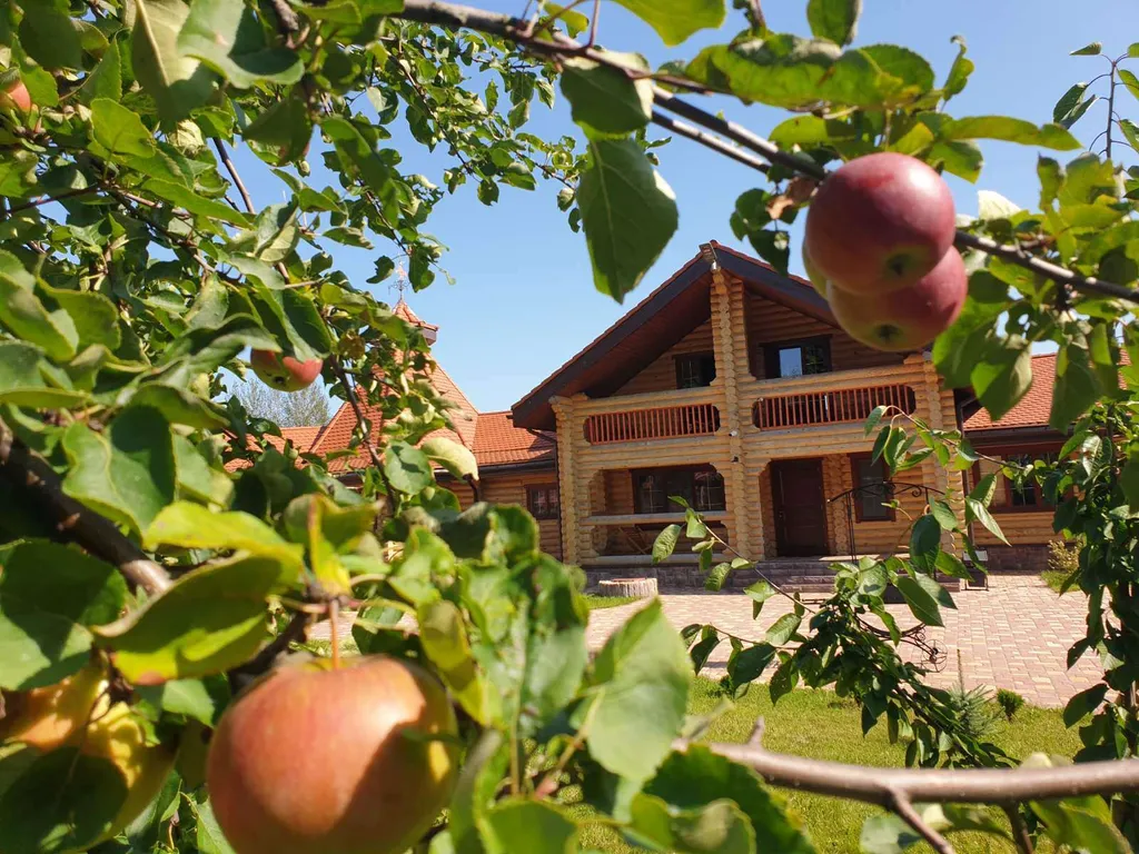 Эко-отель на берегу озера