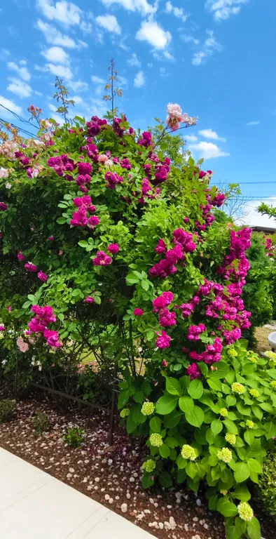 Гостевой дом Anna