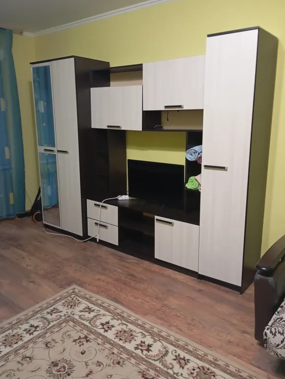 Просторная однокомнатная квартира