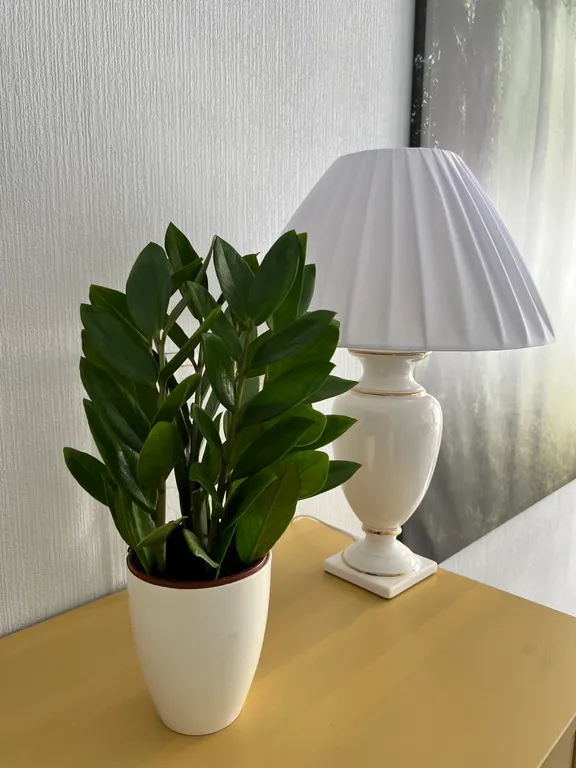 Апартамент на берегу Финского залива, 1 линия, Светлый мир внутри