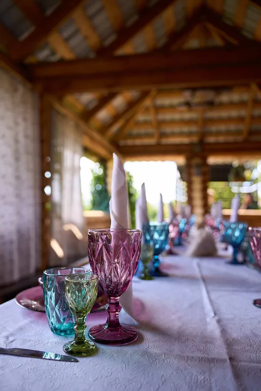 Гуси Лебеди