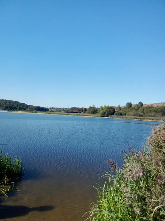 Коттедж на реке